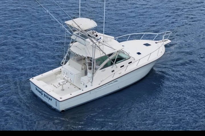 6 Hours Big Game Fishing - Photo 1 of 14